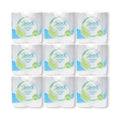 54 rolls 2 ply toilet roll Softesse less than 28p per roll