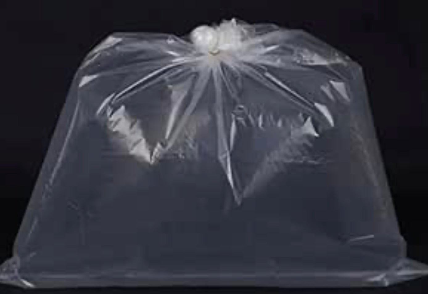 Clear Poly bread bags 24x36 (case size 500)