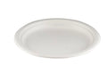 9" white bagasse plate (Case size 500)